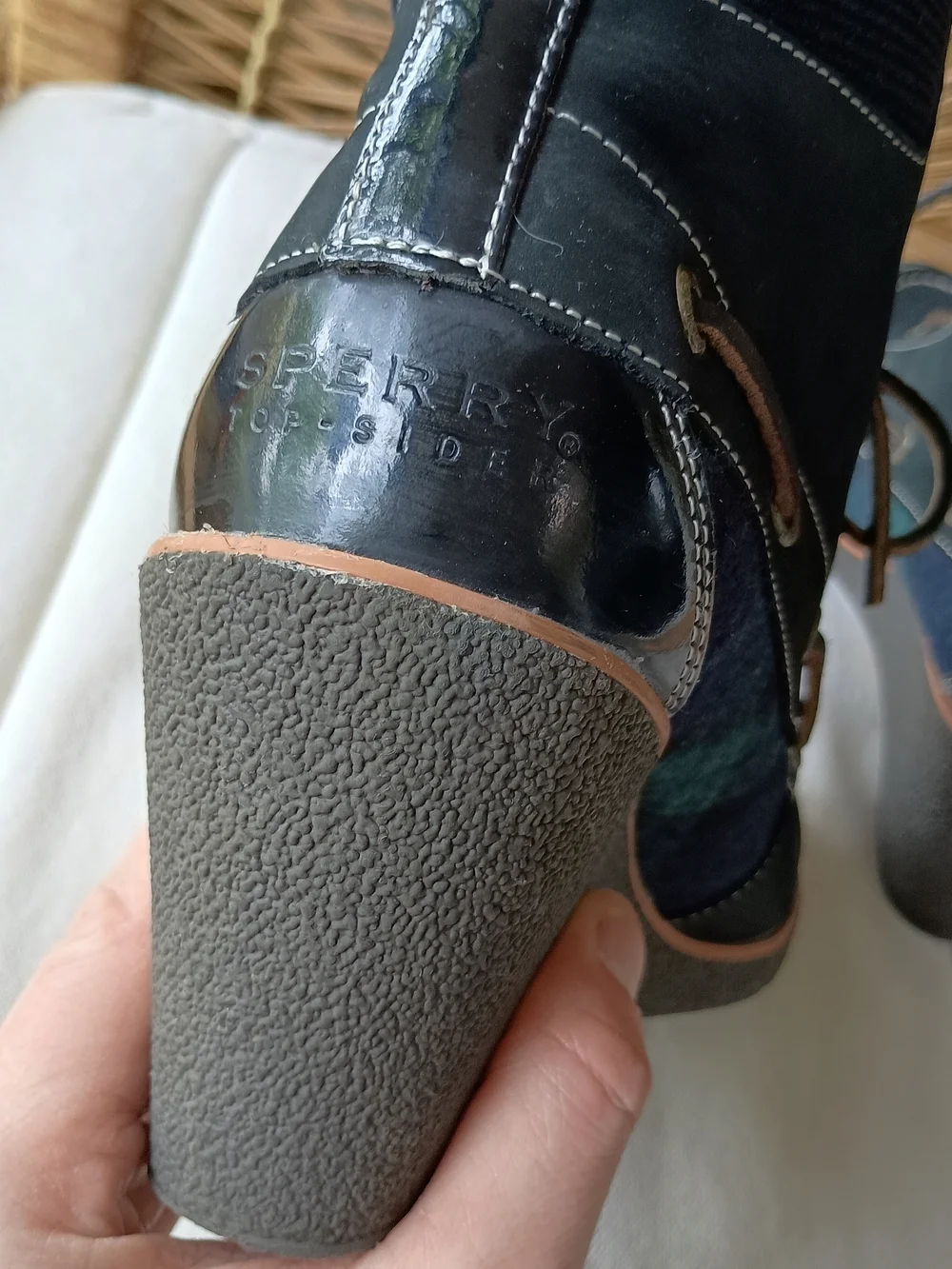 Sperry navy lace